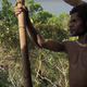 Illustration for article titled BBC Admits to Faking Scene of Indigenous People In Human Planet Documentaryem/emem/em